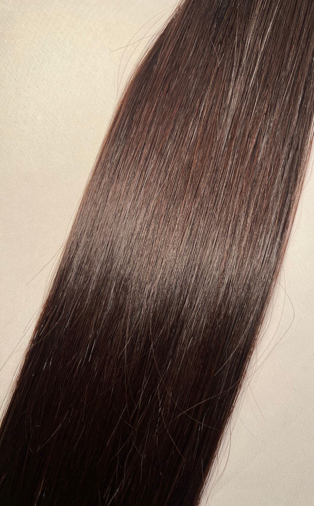 Raw Vietnamese Bundles